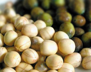 ��ʳ��˵��ʢ�Ĳ���ʱ_5����ʳ���㡰����������