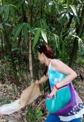 ��Ů��԰�������ֶ���_���ѣ����ǹ���ɱ��