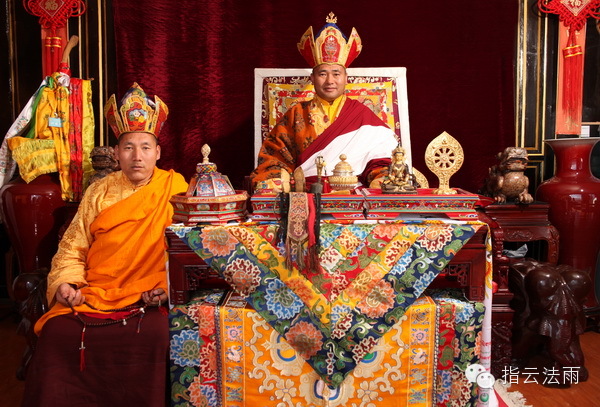 2014��������պ�ĸ�鶴������ʽͨ��