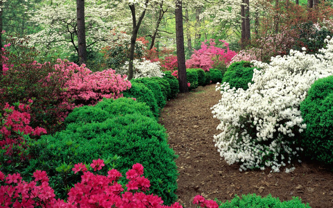 丁嘉丽老师精彩分享:孝养老人_理得心安(二) 丁嘉丽老师精彩分享:孝养老人_理得心安(二)