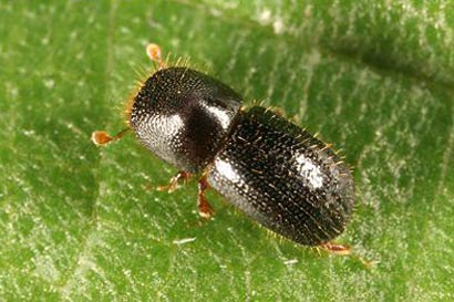 �����ֻ��������ǳ���_�ɷ�㻯�ճ��޺�