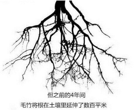 �����ˣ�û������������