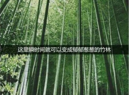 �����ˣ�û������������