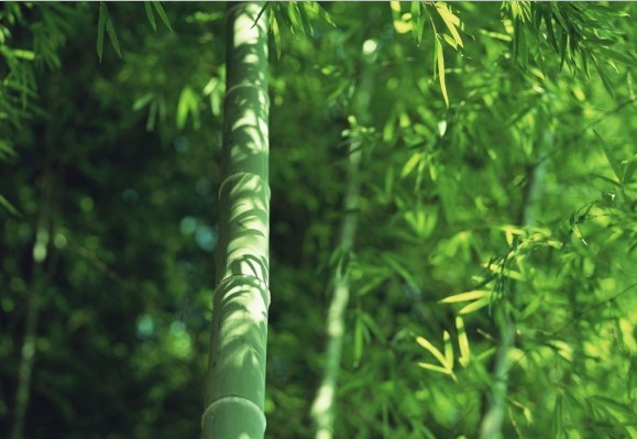 �����ˣ�û������������