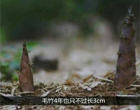 �����ˣ�û������������