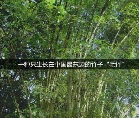 �����ˣ�û������������