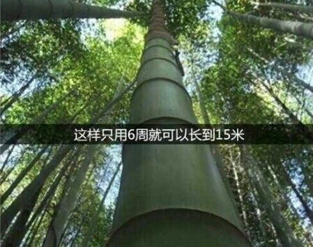 �����ˣ�û������������