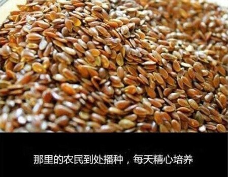 �����ˣ�û������������