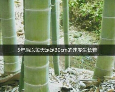 �����ˣ�û������������