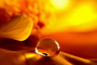 �����̲����������ư�֢�����䡰ҩ������