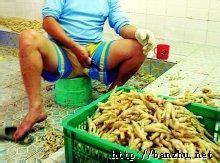 ̫�����ˣ�Ů��һ����Ҫ�ٳ��������!_����ͼ��