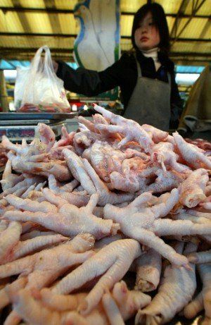 ̫�����ˣ�Ů��һ����Ҫ�ٳ��������!_����ͼ��