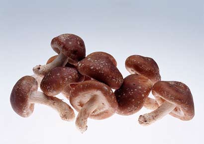 ������˺�㹽��_��ǿ���߹�����