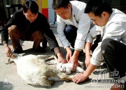 ���򶼿��ˣ�ȫ����ж��Ĳ�һ�������(��ͼ)