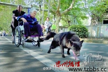 ���򶼿��ˣ�ȫ����ж��Ĳ�һ�������(��ͼ)