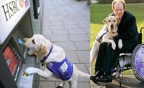 ���򶼿��ˣ�ȫ����ж��Ĳ�һ�������(��ͼ)