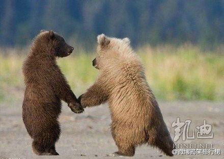 ���򶼿��ˣ�ȫ����ж��Ĳ�һ�������(��ͼ)