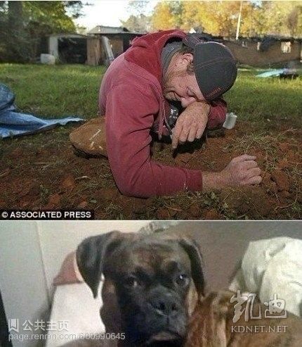 ���򶼿��ˣ�ȫ����ж��Ĳ�һ�������(��ͼ)