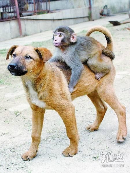 ���򶼿��ˣ�ȫ����ж��Ĳ�һ�������(��ͼ)