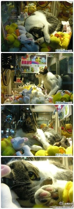 ���򶼿��ˣ�ȫ����ж��Ĳ�һ�������(��ͼ)