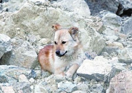 ���򶼿��ˣ�ȫ����ж��Ĳ�һ�������(��ͼ)