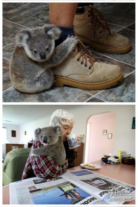 ���򶼿��ˣ�ȫ����ж��Ĳ�һ�������(��ͼ)