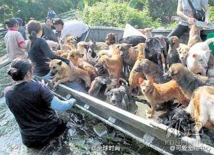 ���򶼿��ˣ�ȫ����ж��Ĳ�һ�������(��ͼ)