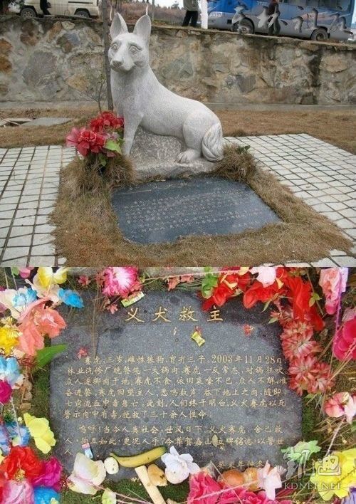 ���򶼿��ˣ�ȫ����ж��Ĳ�һ�������(��ͼ)