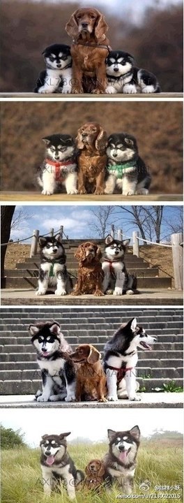 ���򶼿��ˣ�ȫ����ж��Ĳ�һ�������(��ͼ)