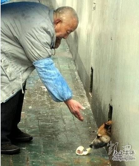 ���򶼿��ˣ�ȫ����ж��Ĳ�һ�������(��ͼ)