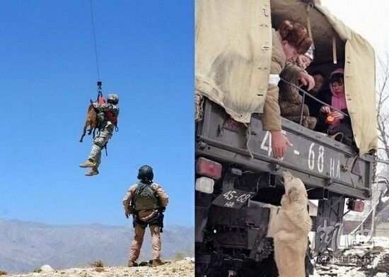 ���򶼿��ˣ�ȫ����ж��Ĳ�һ�������(��ͼ)