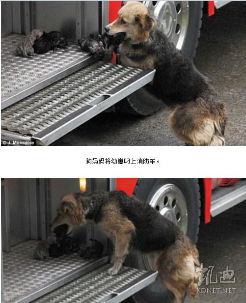 ���򶼿��ˣ�ȫ����ж��Ĳ�һ�������(��ͼ)