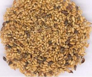 ʢ��5����ʳ���㡰����������