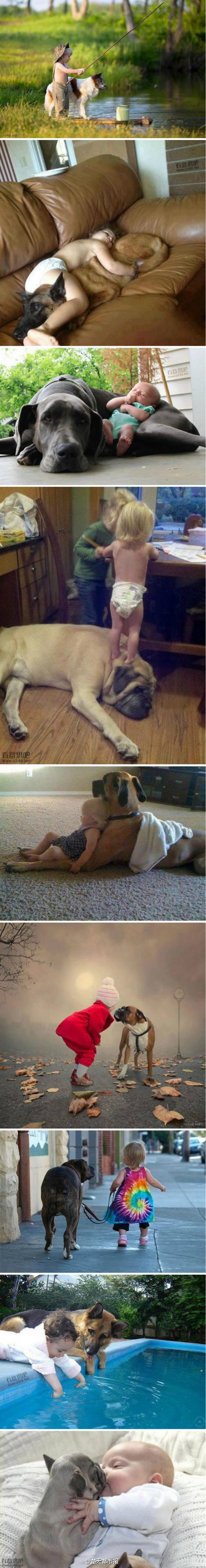 ̫�ɰ��ˣ������Ķ��ڻ���(��ͼ)