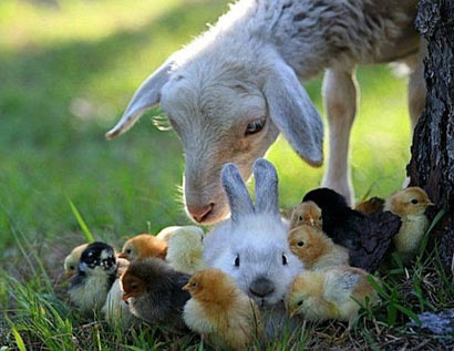 һλ��ʳ�ߵ������ף����򹤼�