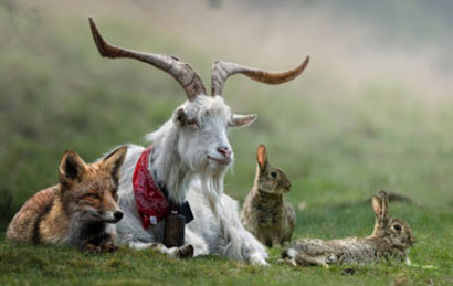 һλ��ʳ�ߵ������ף����򹤼�