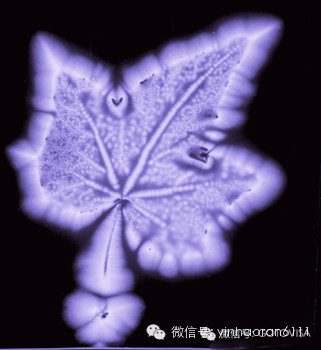 ������˹��ѧ���״��ĵ�����ɢ����������,��ͬ����������С��ͬ��