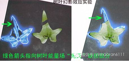 ������˹��ѧ���״��ĵ�����ɢ����������,��ͬ����������С��ͬ��