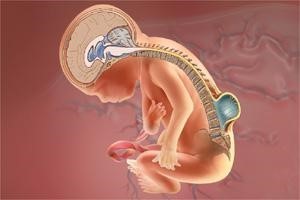 ��̥ʱ̥���ĸ����������ģ�