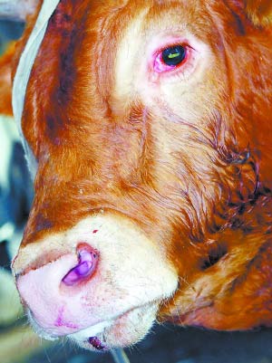 ţΪ���������¹�_�����������