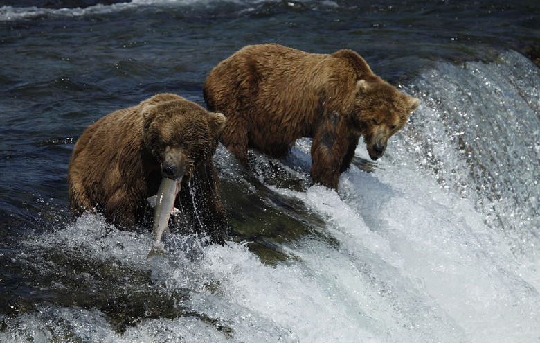 请你告诉孩子,一定要知道这三条鱼! 请你告诉孩子,一定要知道这三条鱼!