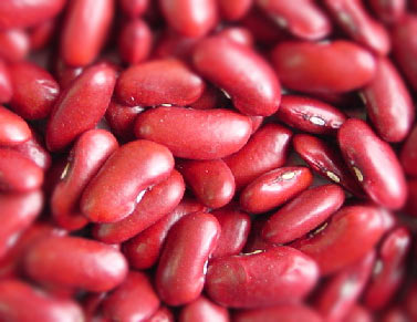 常吃8种素食_补钙效果堪比牛奶 常吃8种素食_补钙效果堪比牛奶