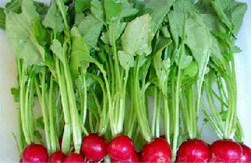 常吃8种素食_补钙效果堪比牛奶 常吃8种素食_补钙效果堪比牛奶