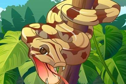 �������������ֽ�_���ܰ�Ƥ����ʩ��