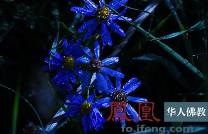 ���ͷ�ʦ�������аٻ������¡�_������������������