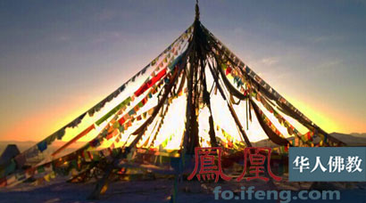 ���ͷ�ʦ�������аٻ������¡�_������������������