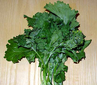 ��ô�Ը�Ӫ��_12�ֳ�����ʳ����ָ������