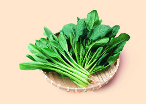 ��ô�Ը�Ӫ��_12�ֳ�����ʳ����ָ������