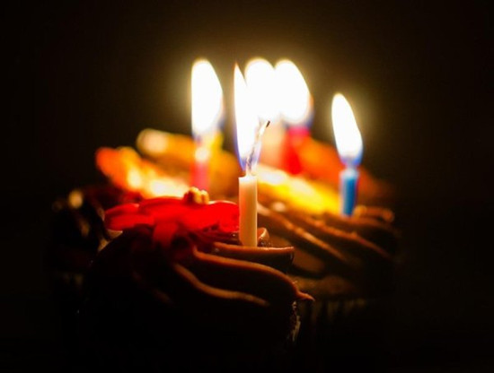 ����������Щ���ɡ�������