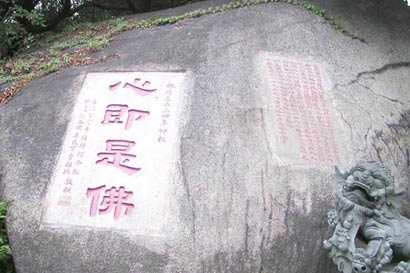 ��Ȼ���ļ��Ƿ𡱣�Ϊ�����ǻ�Ҫѧ��